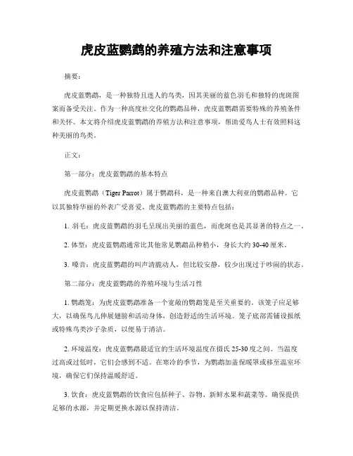 虎皮蓝鹦鹉的养殖方法和注意事项