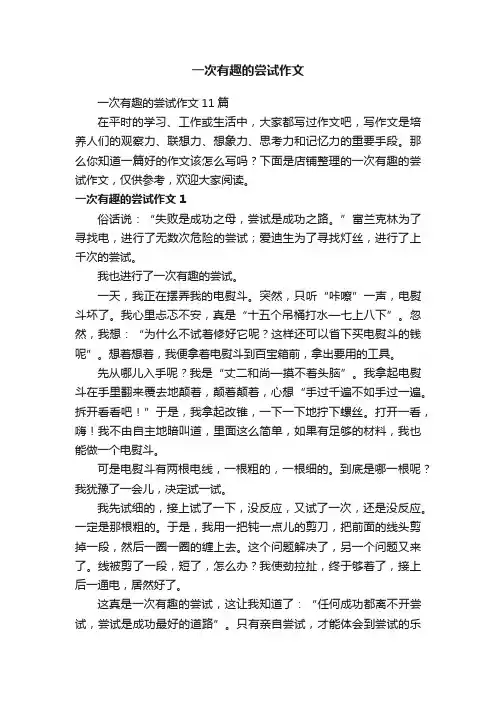 一次有趣的尝试作文