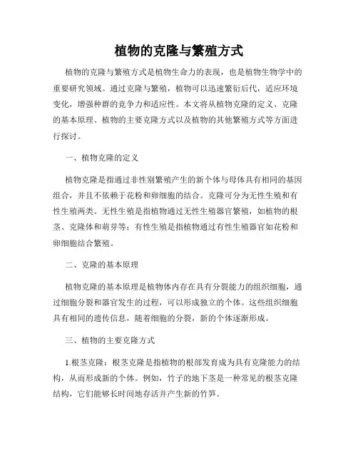 植物的克隆与繁殖方式