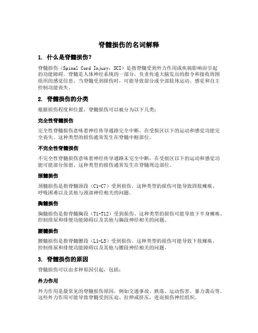 脊髓损伤的名词解释