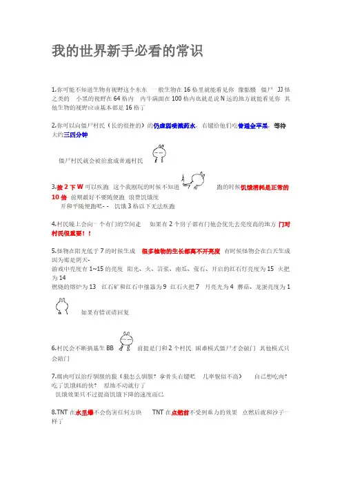 我的世界老手必看的常识