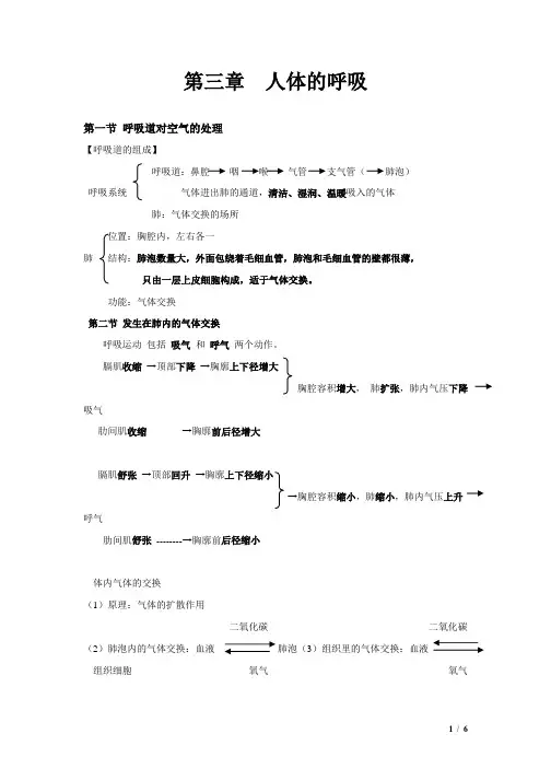 专题04 人体的呼吸、人体的物质循环-【口袋书】2020年中考生物必背知识手册(人教版)