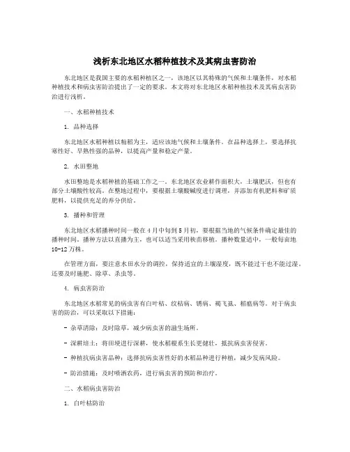 浅析东北地区水稻种植技术及其病虫害防治