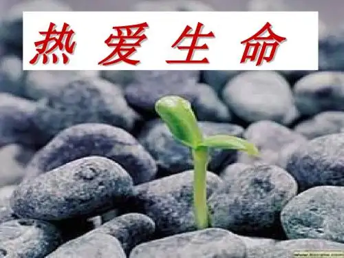 《热爱生命》课件
