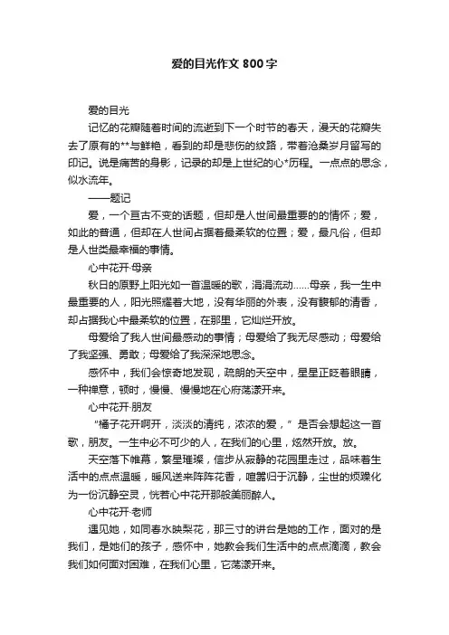 爱的目光作文800字