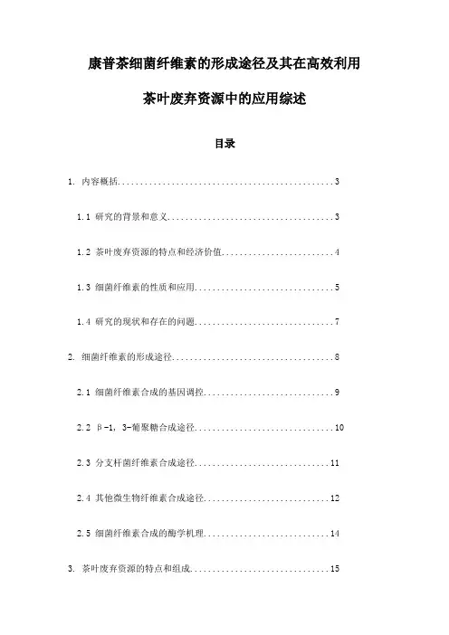 康普茶细菌纤维素的形成途径及其在高效利用茶叶废弃资源中的应用综述