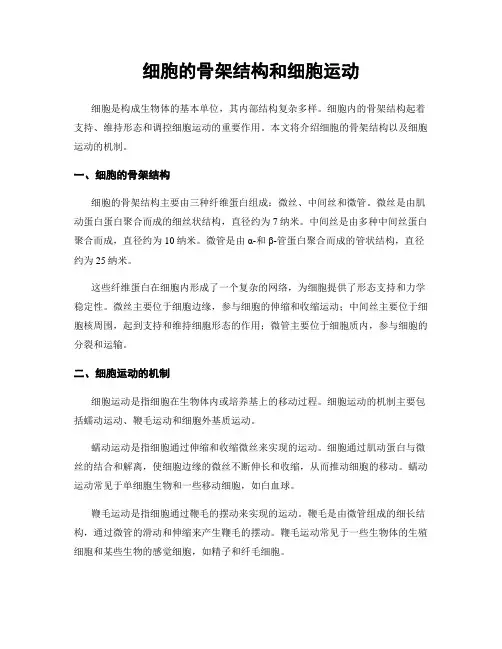 细胞的骨架结构和细胞运动