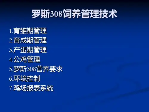 罗斯308饲养管理技术