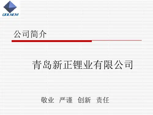 新正锂业公司简介