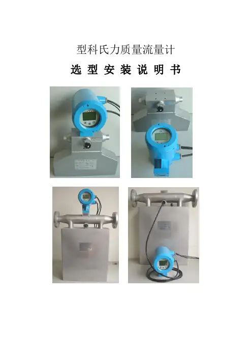 质量流量计说明书 - 复制