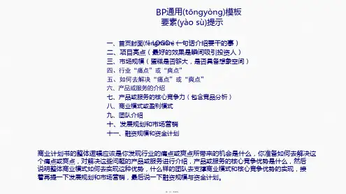 BP商业计划书通用模板