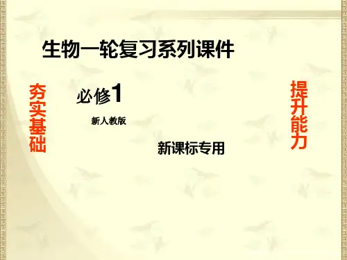 高三生物课件新人教版酶在代谢中的作用