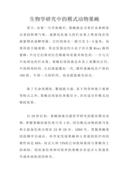 生物学研究中的模式动物果蝇