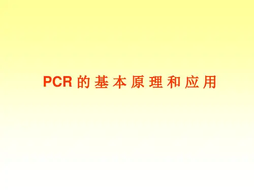 PCR的基本原理和应用 PPT课件
