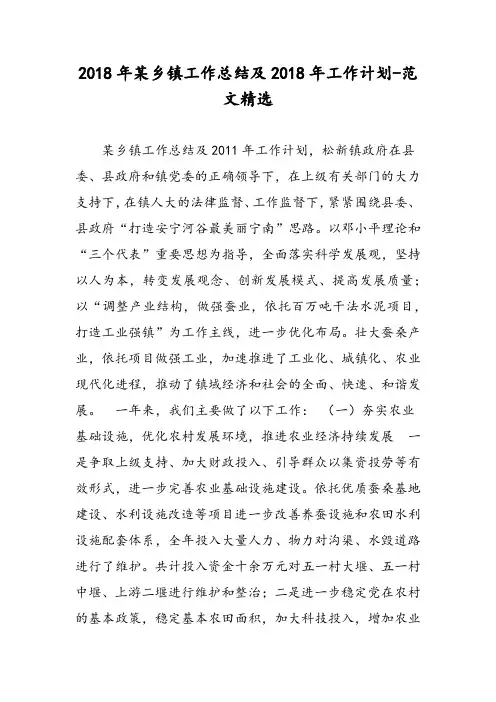 2018年某乡镇工作总结及2018年工作计划-范文精选
