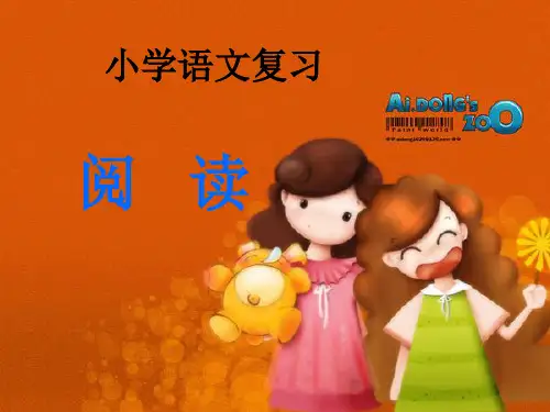 小升初语文阅读复习课件