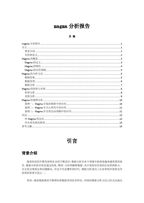 magma分析报告