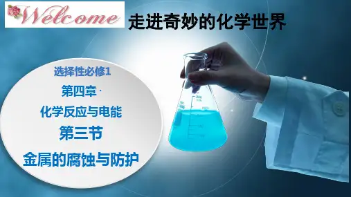 金属的防护(课件)高二化学(人教版2019选择性必修1)
