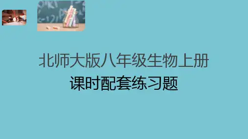 北师大版八年级生物上册全册课时配套练习题(答案在PPT隐藏页)