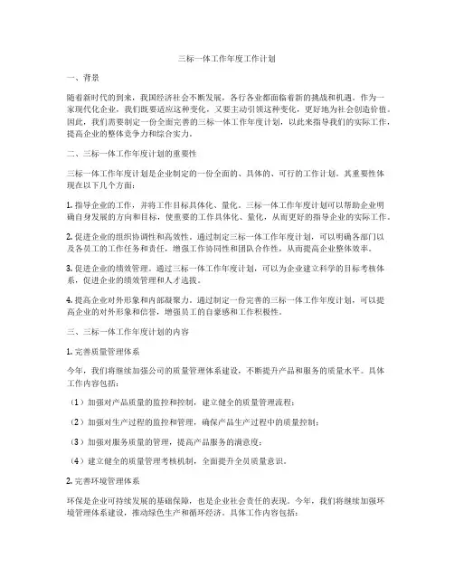 三标一体工作年度工作计划