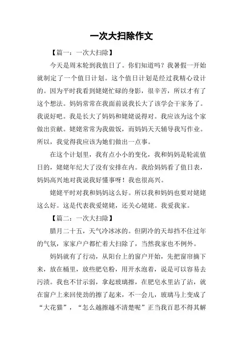 一次大扫除作文