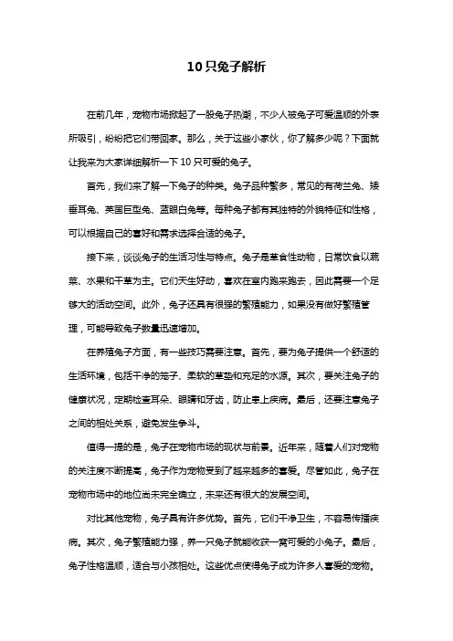 10只兔子解析