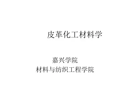 皮革化工材料介绍