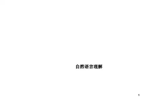 自然语言理解精品PPT课件