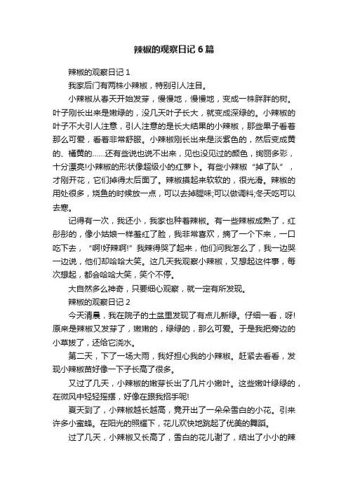 辣椒的观察日记6篇