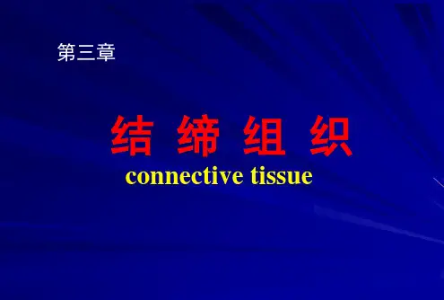 第三章 结缔组织