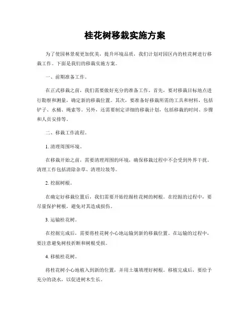 桂花树移栽实施方案
