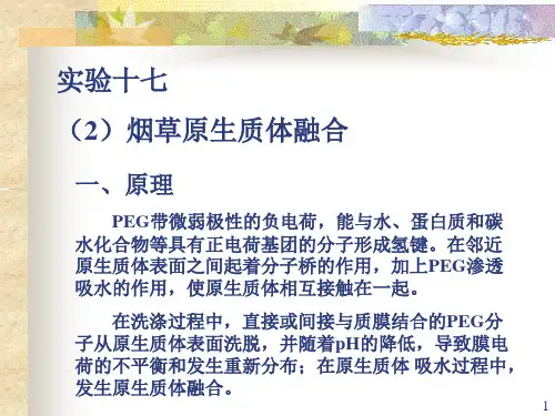 实验十七(2)烟草原生质体融合