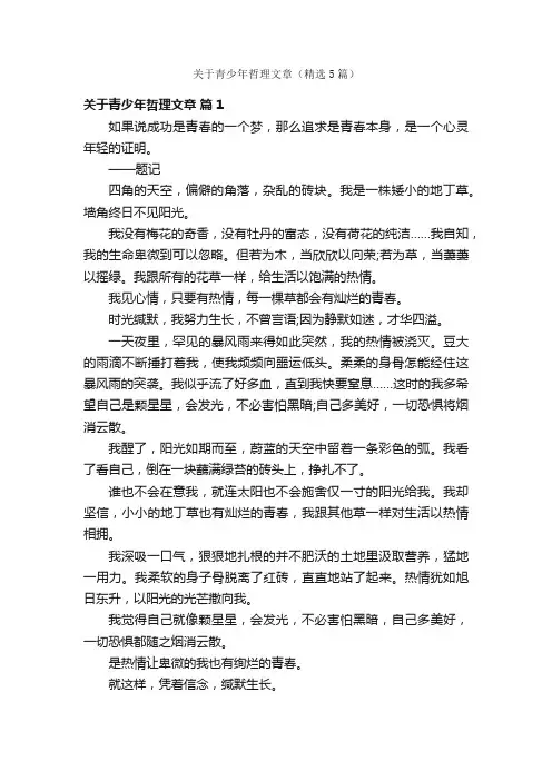关于青少年哲理文章（精选5篇）