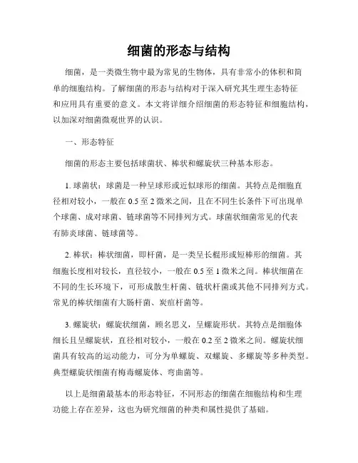 细菌的形态与结构