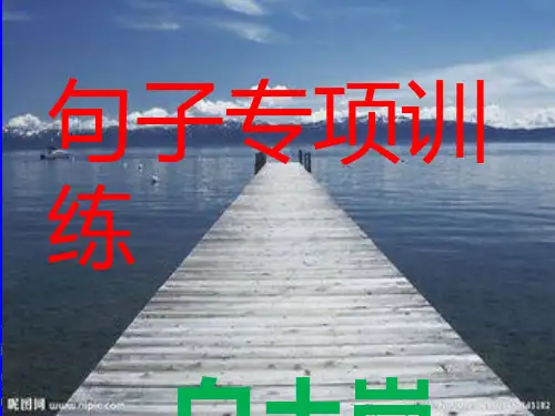 小学句子专项训练ppt