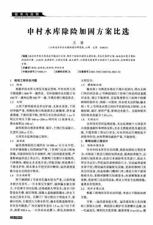 申村水库除险加固方案比选