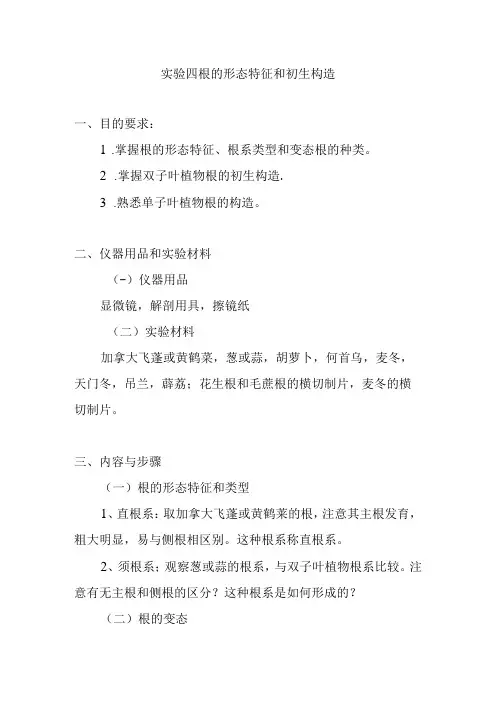 南医大药用植物学实验指导04根的形态特征和初生构造