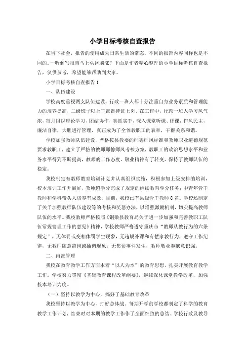 小学目标考核自查报告