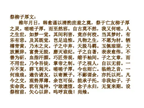 《祭十二郎文》PPT课件