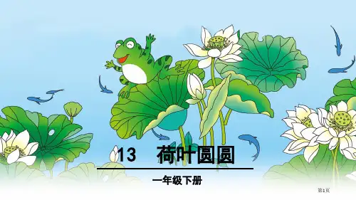 13-荷叶圆圆市公开课金奖市赛课一等奖课件