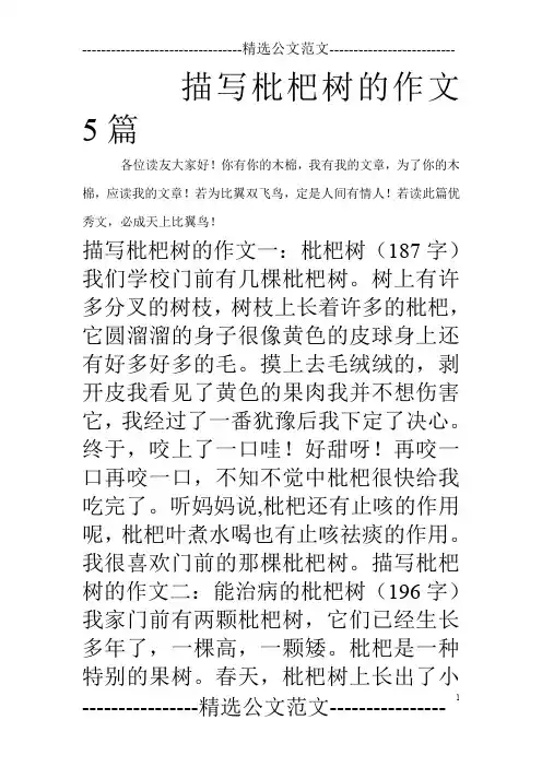 描写枇杷树的作文5篇
