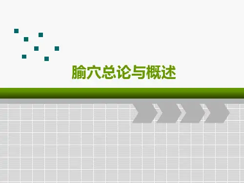 腧穴总论与概述