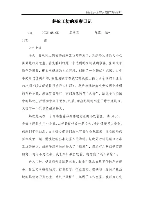 蚂蚁工坊的观察日记