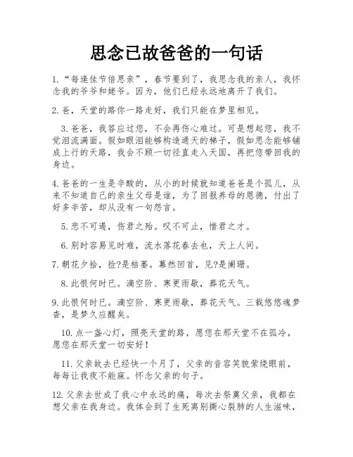 思念已故爸爸的一句话