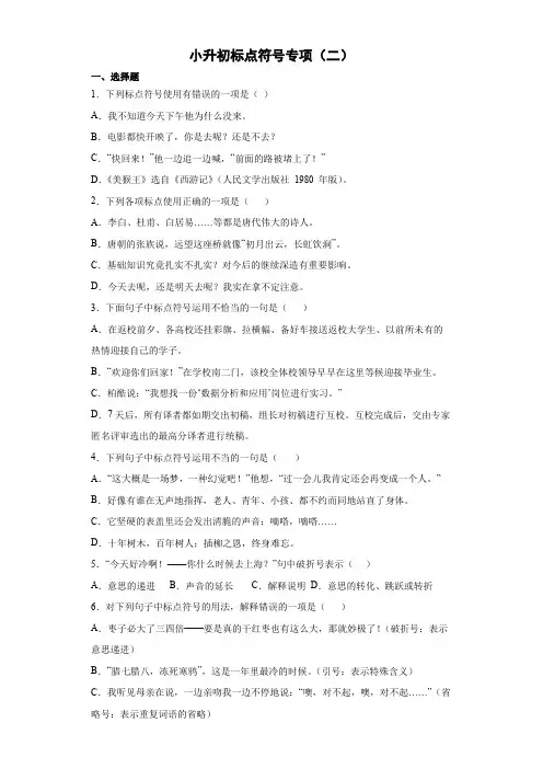 小升初标点符号专项(二)2022-2023学年语文六年级下册