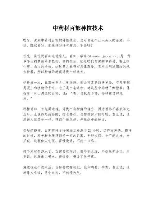 中药材百部种植技术