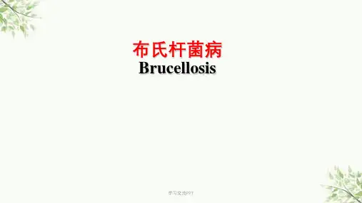布氏杆菌病 最新课件