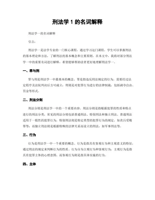 刑法学1的名词解释