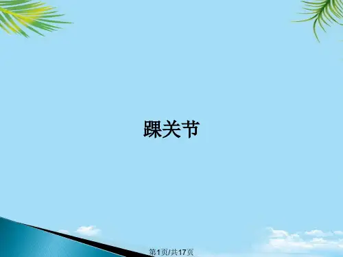 踝关节PPT全面版