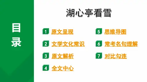 2024成都语文中考试题研究备考第五部分 古诗文阅读 专题一 文言文阅读 湖心亭看雪“三行对译”(讲